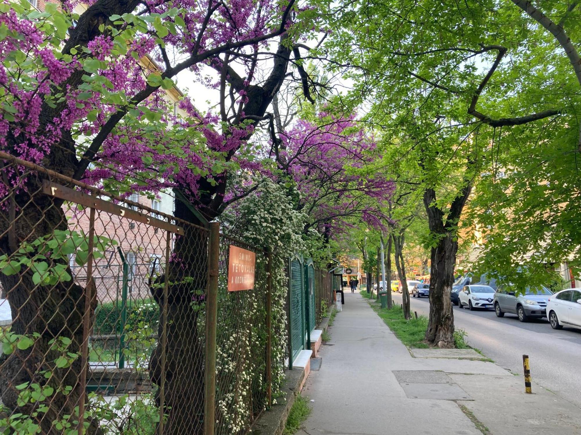 Poppy Flower Apartment Budapest Ngoại thất bức ảnh